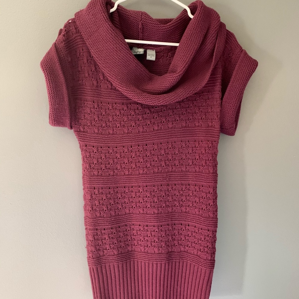 Knit Boutique Short Sleeve Bodycon Sweater Dress